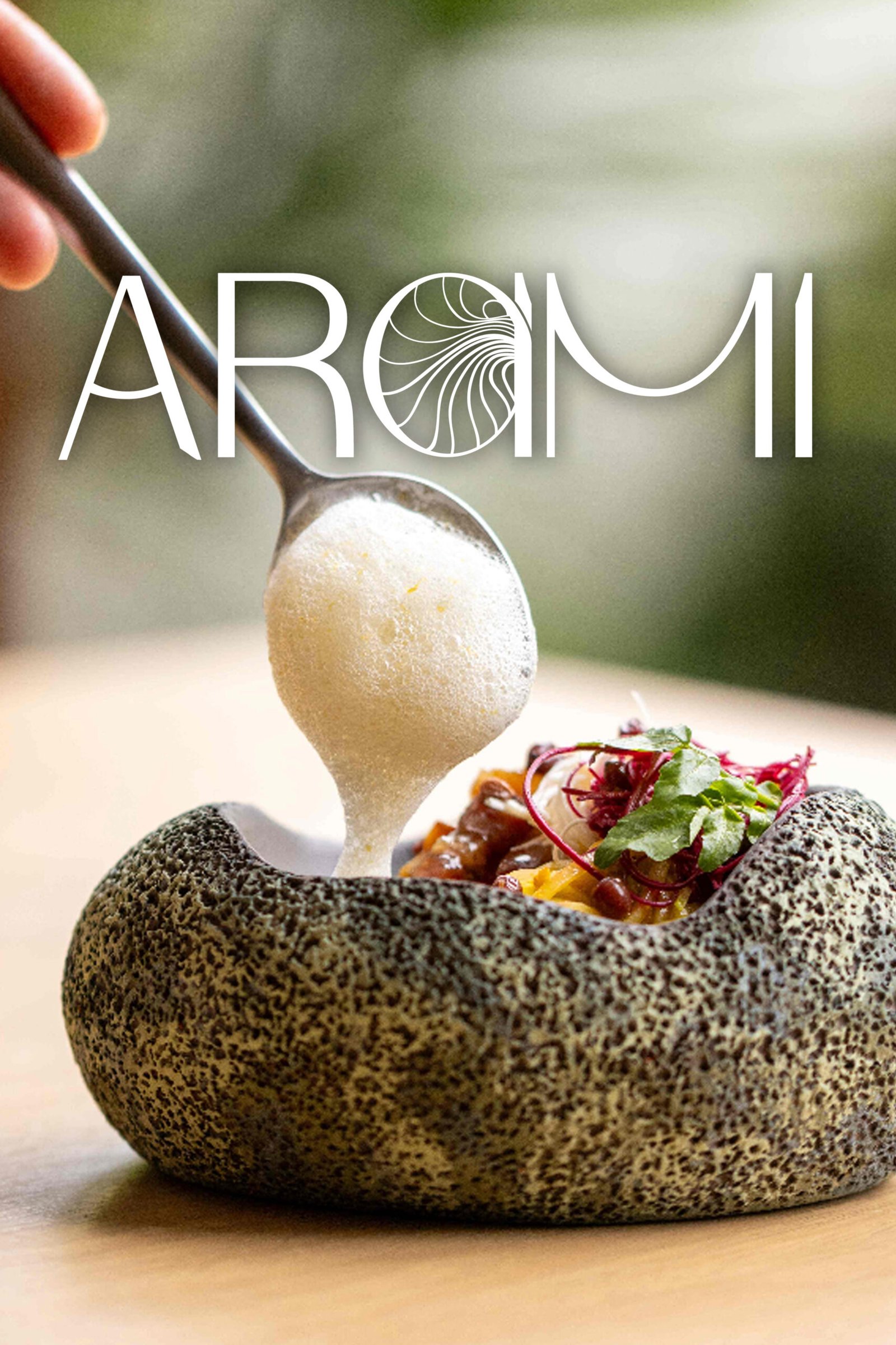 1 Arami Main Menu